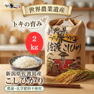 3kg　新潟県佐渡島産こしひかり　トキが舞い降りる希少価値の高いお米　農薬・化学肥料不使用 (複製)