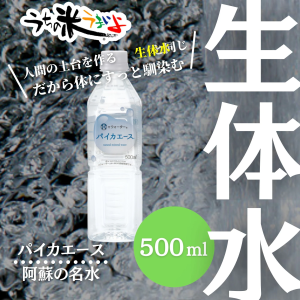【阿蘇の名水】パイカエース500ml30本
