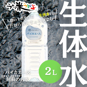 【阿蘇の名水】パイカエース2㍑×9本