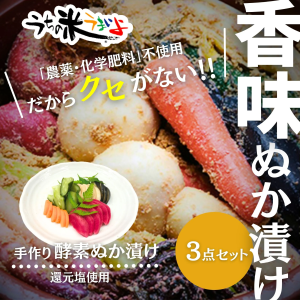 手作り酵素ぬか漬けおまかせ３点セット