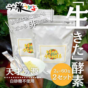 【天才の源®︎うちの酵素】お得な2袋セット ステック2ｇ×60包