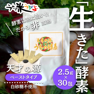 【天才の源®︎うちの酵素】ペースト2.5ｇ×30包