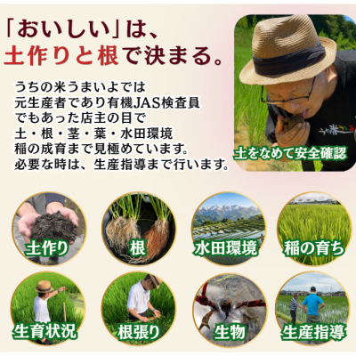 rice1