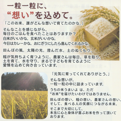 rice2