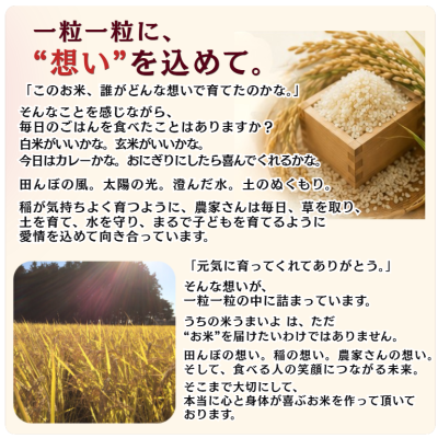 rice2
